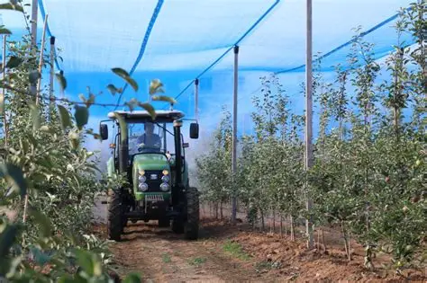 苹果视频免费观看-苹果种植技术